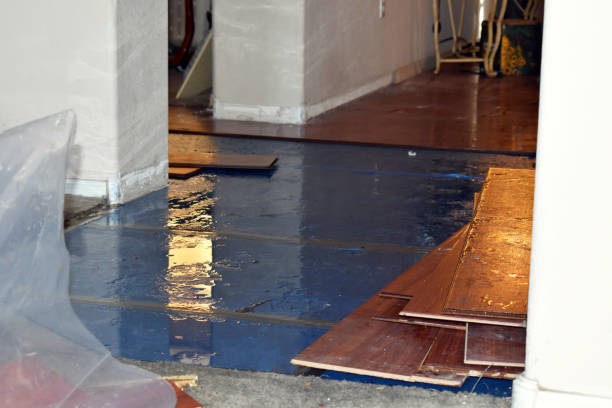 Professional Burst Pipe Cleanup technician working in Fairview, UT
